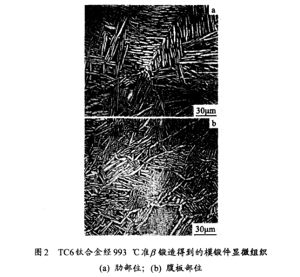 TC6鈦合金經(jīng)993℃準(zhǔn)β鍛造得到的模鍛件顯微組織(a) 肋部位；(b) 腹板部位