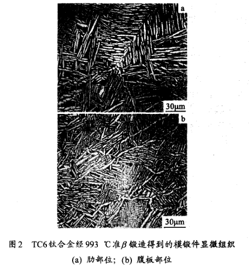 TC6鈦合金經(jīng)993 ℃準鍛造得到的模鍛件顯微組織(a) 肋部位；(b) 腹板部位